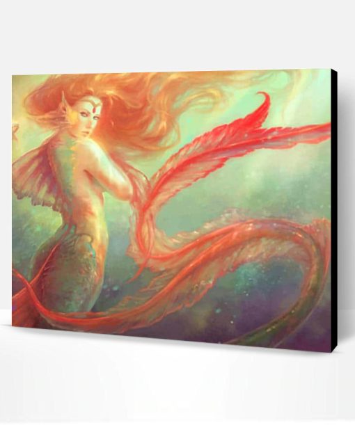 Beautiful Mermaid Paint By Number