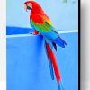 Beautiful Parrot Paint By Number