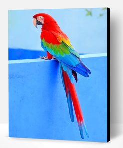 Beautiful Parrot Paint By Number