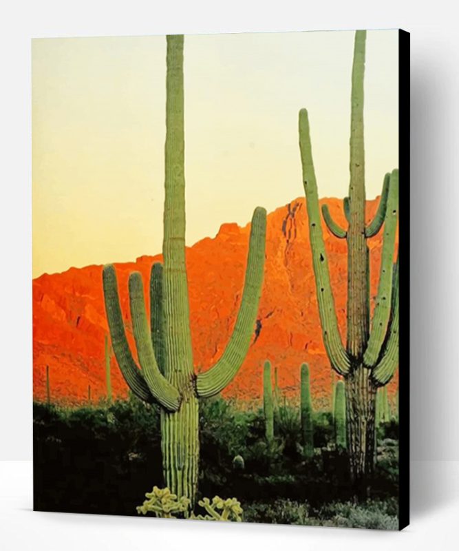 Big Cactus Mountains Paint By Number