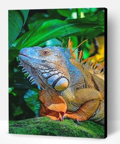 Big Iguana Paint By Number