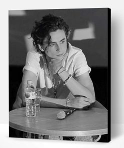 Black And White Timothée Chalamet Paint By Number