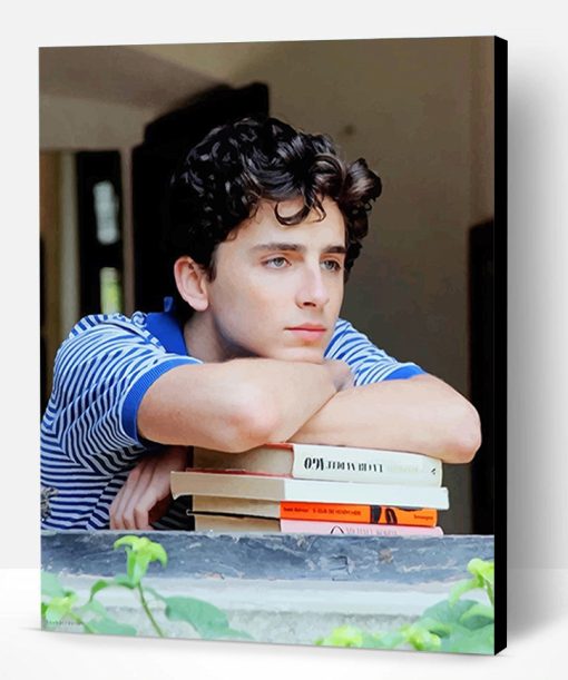 Classy Handsome Timothee Chalamet Paint By Number