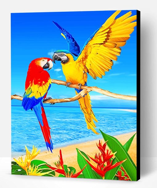 Colorful Parrots Paint By Number