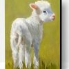 Cute Lamb Paint By Number