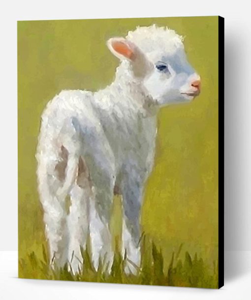 Cute Lamb Paint By Number