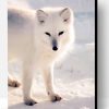Cute Arctic Fox Paint By Number