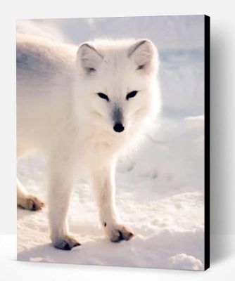 Cute Arctic Fox Paint By Number