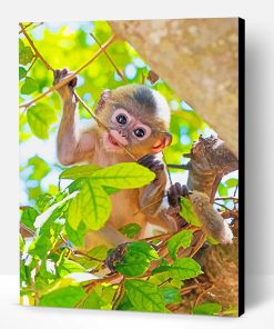 Cute Baby Monkey Paint By Number
