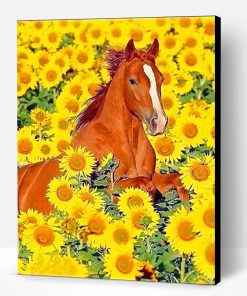 Cute Horse Sunflowers Paint By Number