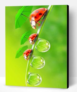 Cute Ladybugs Paint By Number