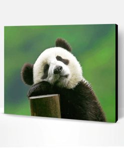 Cute Panda Bear Paint By Number