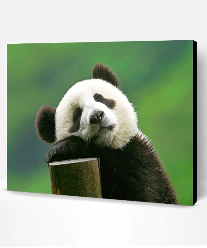 Cute Panda Bear Paint By Number