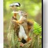 Cute Squirrel And Bird Paint By Number