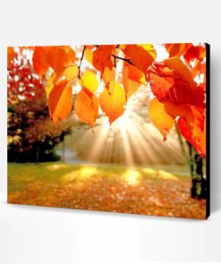 Fall Leaves Background Paint By Number
