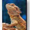 Lizard Bearded Agama Paint By Number