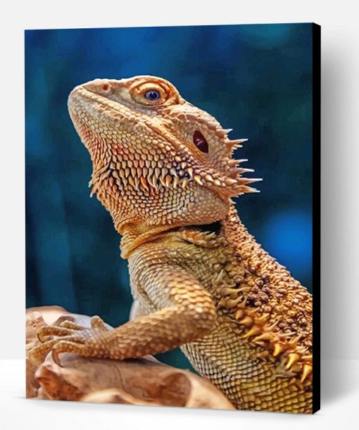 Lizard Bearded Agama Paint By Number