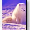 Lovely Arctic Fox Paint By Number