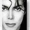 Micheal Jackson Black and White Paint By Number