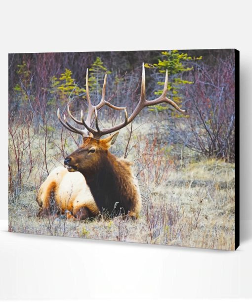 Moose Wildlife Paint By Number