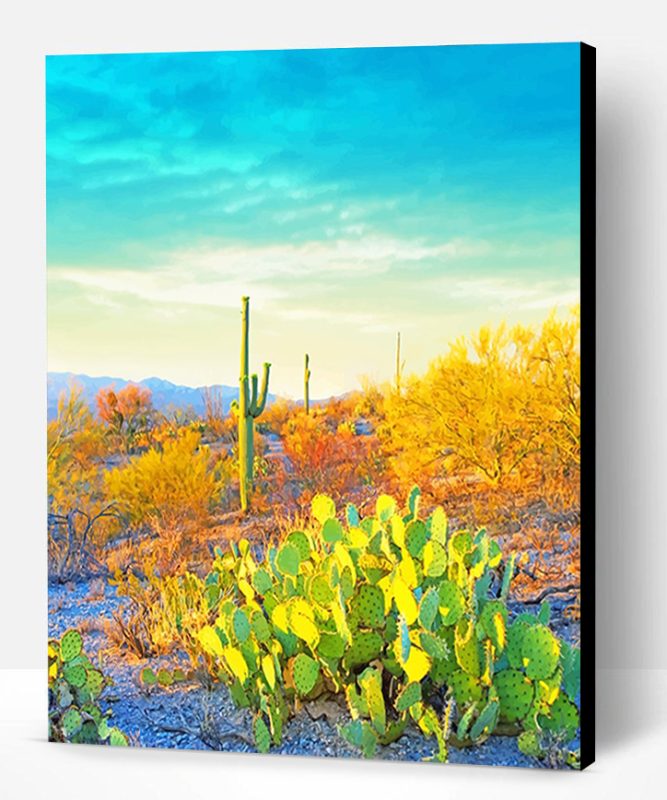 Saguaro National Park Paint By Number