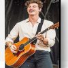 Shawn Mendes Playing Guitar Paint By Number