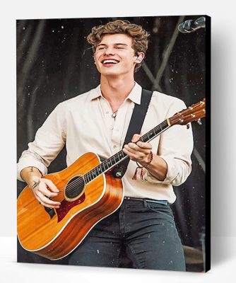 Shawn Mendes Playing Guitar Paint By Number