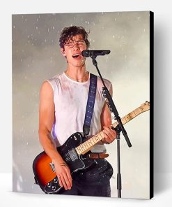 Shawn Mendes Singing On Stage Paint By Number