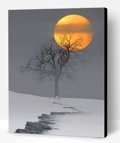 Snow Moon Paint By Number