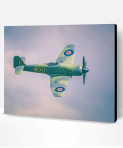 Spitfire Paint By Number