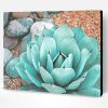Succulent Near Rocks Paint By Number