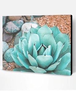 Succulent Near Rocks Paint By Number