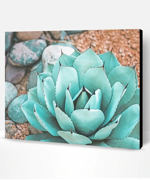 Succulent Near Rocks Paint By Number