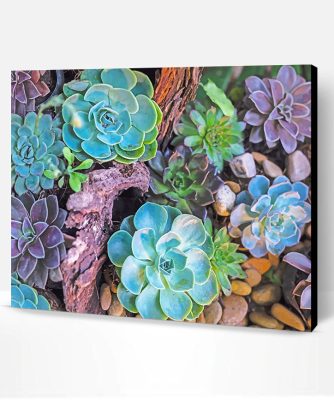 Succulents Plants Paint By Number