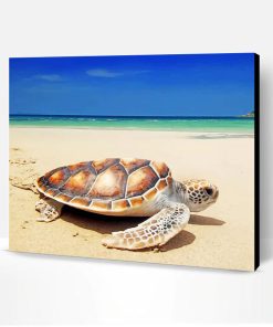 Turtle On The Beach Paint By Number