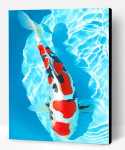 White And Red Koi Fish Paint By Number