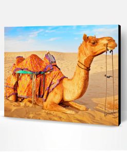 Camel In Desert Paint By Number