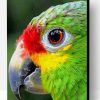 Colorful Bird Eye Close Up Paint By Number