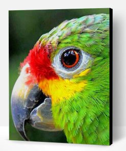 Colorful Bird Eye Close Up Paint By Number