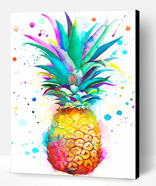 Colors Splash Pineapple Paint By Number