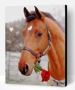 Horse Holding Red Rose Paint By Number