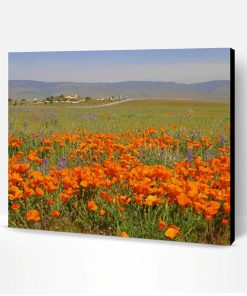 Orange Poppy Field Paint By Number