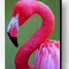 Pink Flamingo Paint By Number