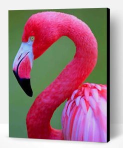 Pink Flamingo Paint By Number