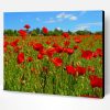 Poppy Flowers Field Paint By Number