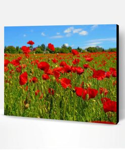 Poppy Flowers Field Paint By Number