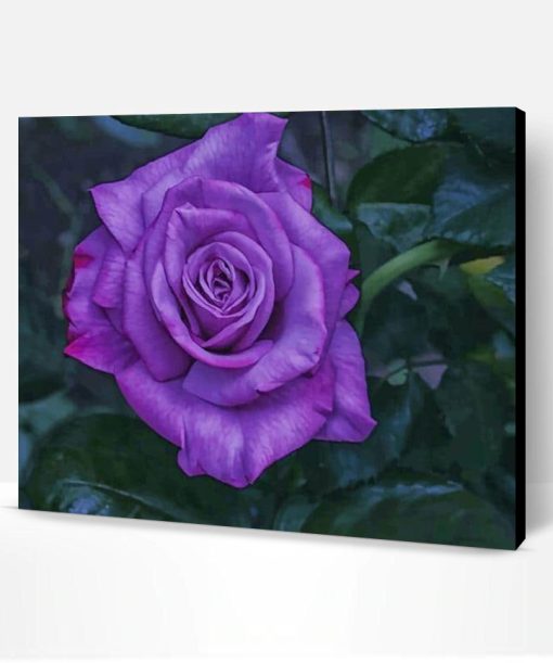 Purple Floribunda Paint By Number