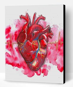 Watercolor Human Heart Paint By Number