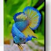 Betta Fish Paint By Number