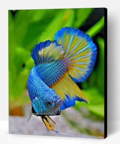 Betta Fish Paint By Number